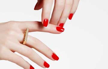 Shellac Seminar